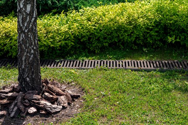 Wet Yard Drainage in Gastonia