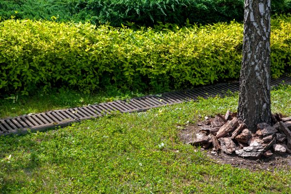 Residential Landscape Drainage in Gastonia